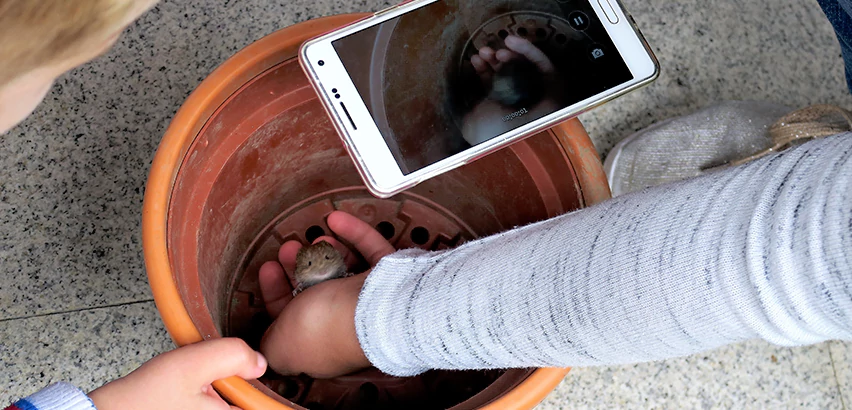 Scope of Drain Camera Inspection Services in Coral Springs, FL