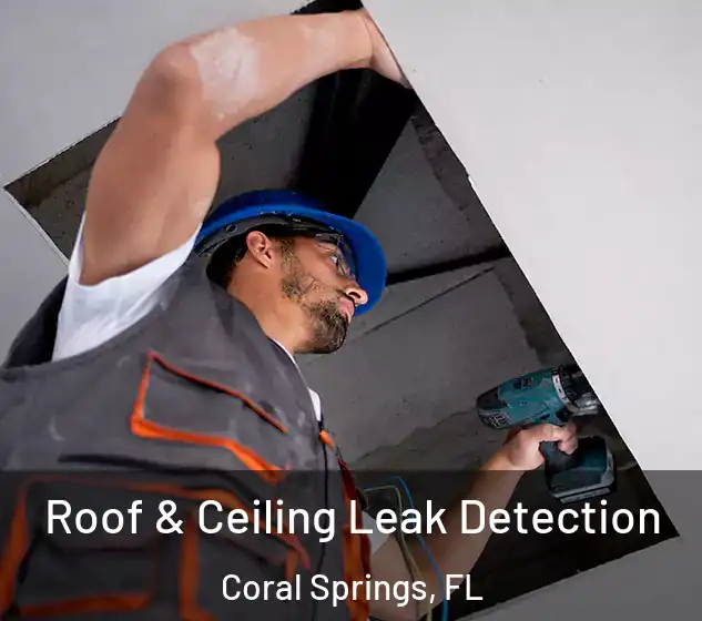  Roof & Ceiling Leak Detection Coral Springs, FL