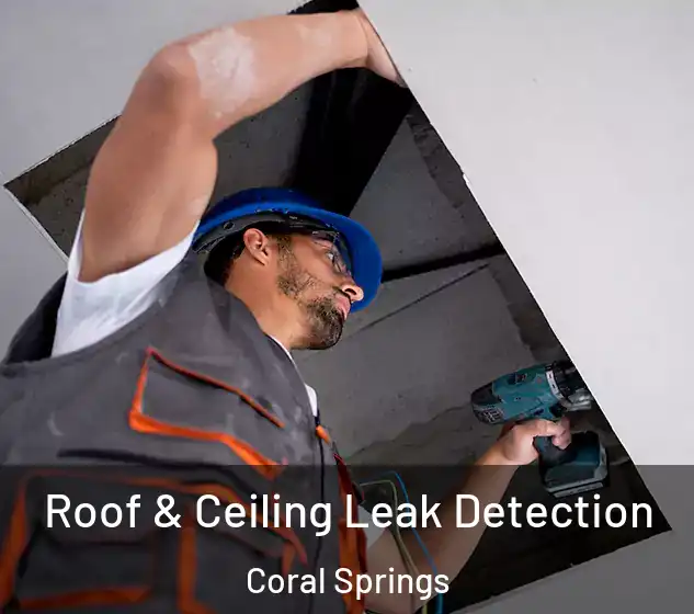  Roof & Ceiling Leak Detection Coral Springs