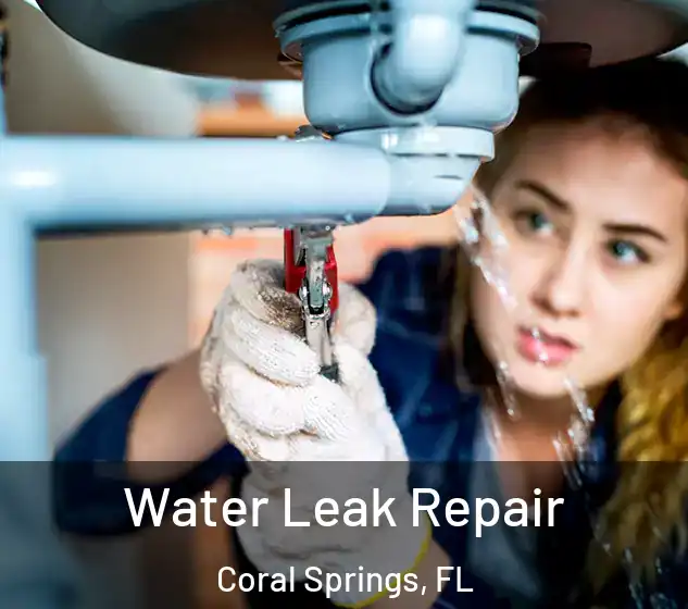  Water Leak Repair Coral Springs, FL